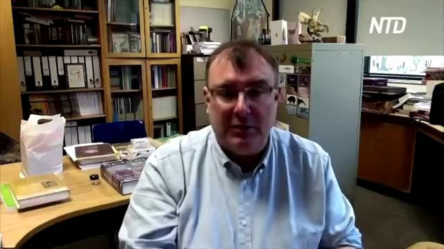 Новый вид динозавра – родственника тираннозавра – нашли в Великобритании