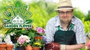 Kuplinov Play ► Лучший Садовник Уже Тут ► Garden Flipper #1