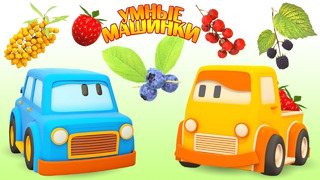 Умныеи машинки – про фрукты и ягоды
