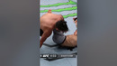 When Hermansson Got a HEEL HOOK on Gastelum