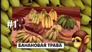 По факту — 10 неожиданных фактов о ЕДЕ
