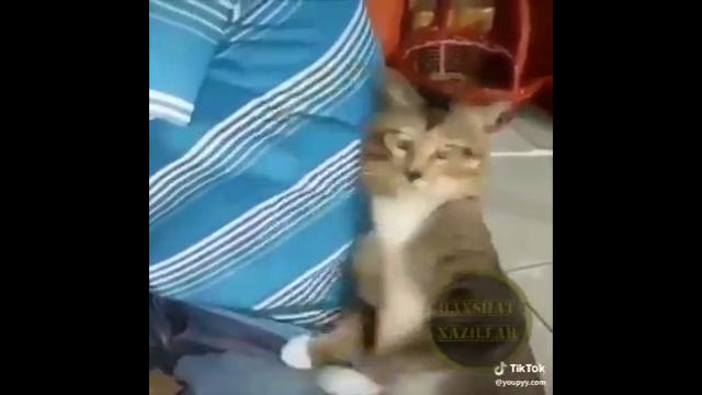 Льаааааааа