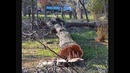 Ташкентский сквер