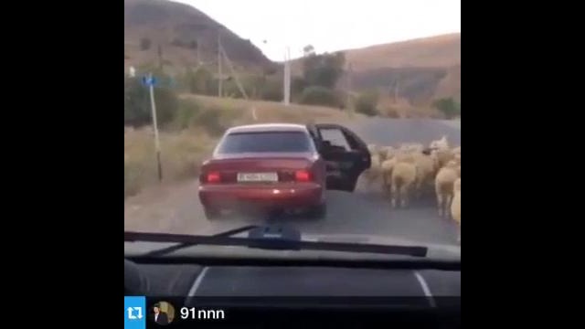 Укралииии