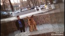 Тренировка