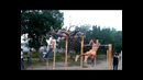 Янгиюль))Street Work out