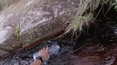 Путешествие в затерянный мир, восхождение на Рорайму
