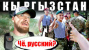 Киргизия – как относятся к русским. Ош и Бишкек – честный отзыв