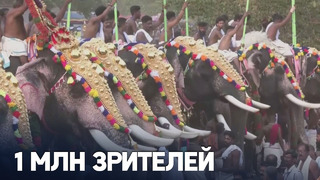 Украшенные слоны и погонщики с зонтами: красочный фестиваль в Индии
