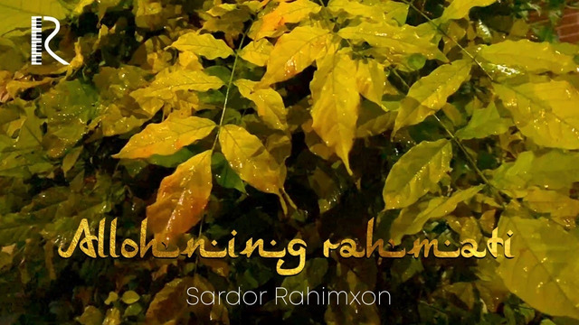 Sardor Rahimxon – Allohning rahmati (Ajr-loyihasi)