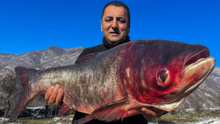 5 кг рыбы, обжаренной в казане! Приготовление пищи в заснеженных горах Азербайджана