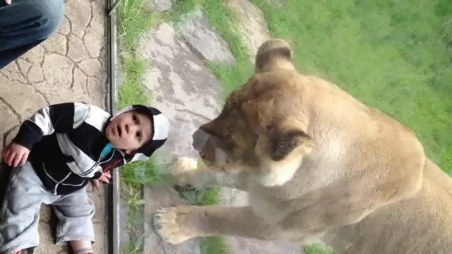 Человек и звери – Часть 1