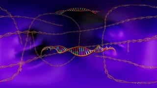 DNK bilan virtual tanishuv. 360 VR