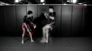 Muay Thai – Low Kick Straight Left K.O