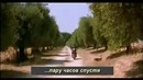 Не подскажите который час