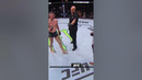 Was Stephen Thompson vs Kevin Holland The BEST UFC Fight Night
