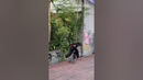 Sick trick