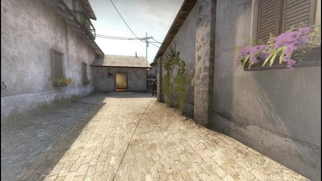 CSGO – Best of team Natus Vincere