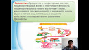 Unit 48 Пищеварение