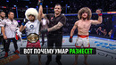 Почему Умар Нурмагомедов 100% побьет Мераба Двалишвили UFC 311 / Кто победит? Где смотреть ЮФС 311