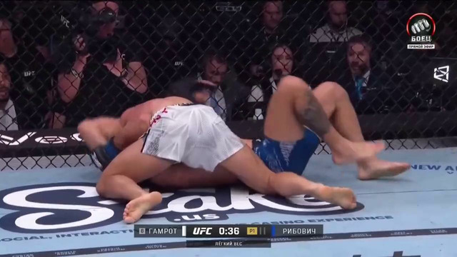 UFC 327: Матеуш Гамрот — Эстебан Рибович (ПОЛНЫЙ БОЙ)