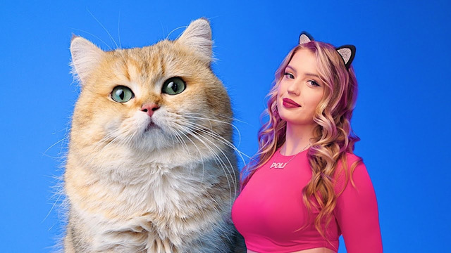 POLI – Котик (Official music video)