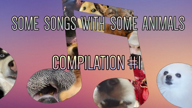 Компиляция разных песен с озвучкой животных