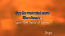 Sting – Fields Of Gold(karaoke)