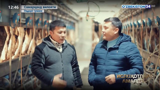 Ўзбекистон 24” телеканалининг “Ислоҳотлар амалда” кўрсатуви