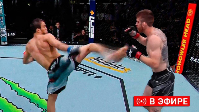 НОКАУТ ГОДА?! Полный бой: УМАР НУРМАГОМЕДОВ vs КОРИ СЕНДХАГЕН. ПРЯМОЙ ЭФИР UFC. ПРЯМАЯ ТРАНСЛЯЦИЯ UFC