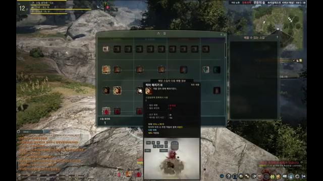 Black Desert гайд- дерево умений и skill points