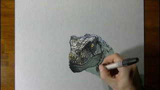 Drawing (Visual Art) Time Lapse: a Velociraptor
