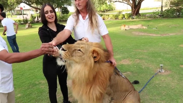 Посещение Резиденции Королевской Семьи в Дубае MO VLOGS