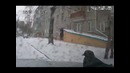 Голубь не заплатил за проезд