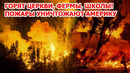 Пожар судного дня в Америке! Огонь идет на города! В Австралии горят сотни тысяч гектаров