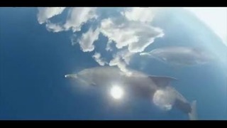 GoPro Дельфины в небе