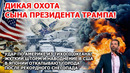 Дикая охота сына президента Трампа! Шторм в США! Наводнение смывает Калифорнию. Снегопад в Японии