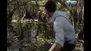 Выжить любой ценой (BEAR GRYLLS) – США, Флорида (High class)
