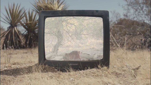 Gatecreeper – From The Ashes (Official Music Video 2019)