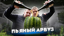 Попытались приготовить АЛКО АРБУЗ! Он же Бахыт Компот! Он же Крюшон