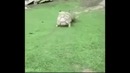 Дружба это не работа:)