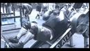 Bodybuilding motivation – THRONE