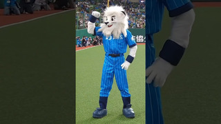 Most backwards handsprings by a mascot in 30 seconds – 31 by Leo from the Saitama Seibu Lions