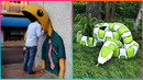 67 Times STREET ART Transformed Boring Places | Art Is EVERYWHERE