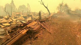 24 человека погибли в результате масштабных пожаров в Чили
