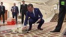 Президент Туркменистана подарил Медведеву щенка алабая