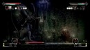 Salt and Sanctuary Final
