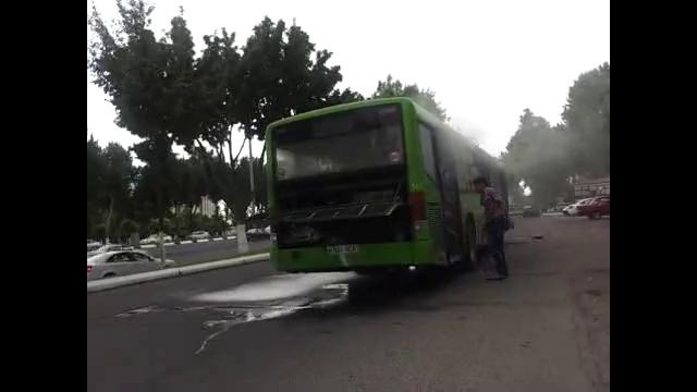 Затушили автобуса в ташкенте