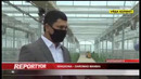 Қашқадарё вилоятида ишга туширилган 850 та иссиқхона карантин кўригидан ўтказилмоқда
