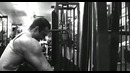 Animal Pak Vol.I – Arms